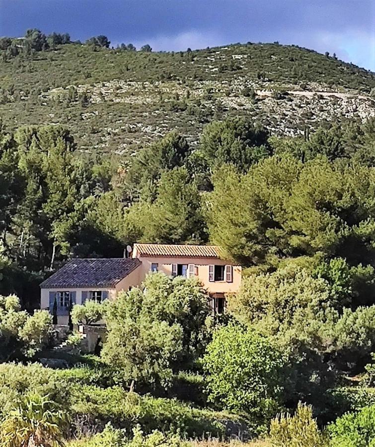 Villa Des Oliviers Sanary-sur-Mer Exterior foto